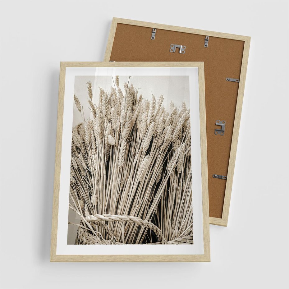 Plakat w ramie 50x70 - Letni Plon - zboże, kłosy zboża - rama drewno