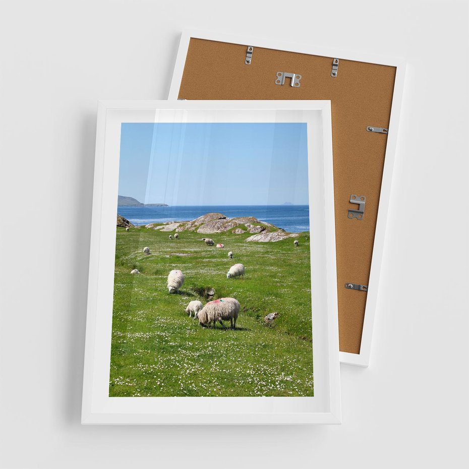 Plakat w ramie 50x70 - Górskie Owce - góry, owce - rama biała