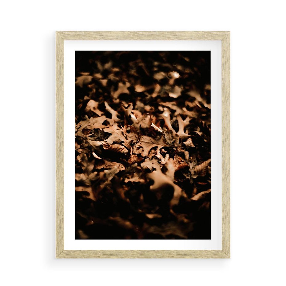 Plakat w ramie 50x70 - Jesienne Liście: Nostalgiczna Kolorystyka - suche liście, jesień - rama drewno