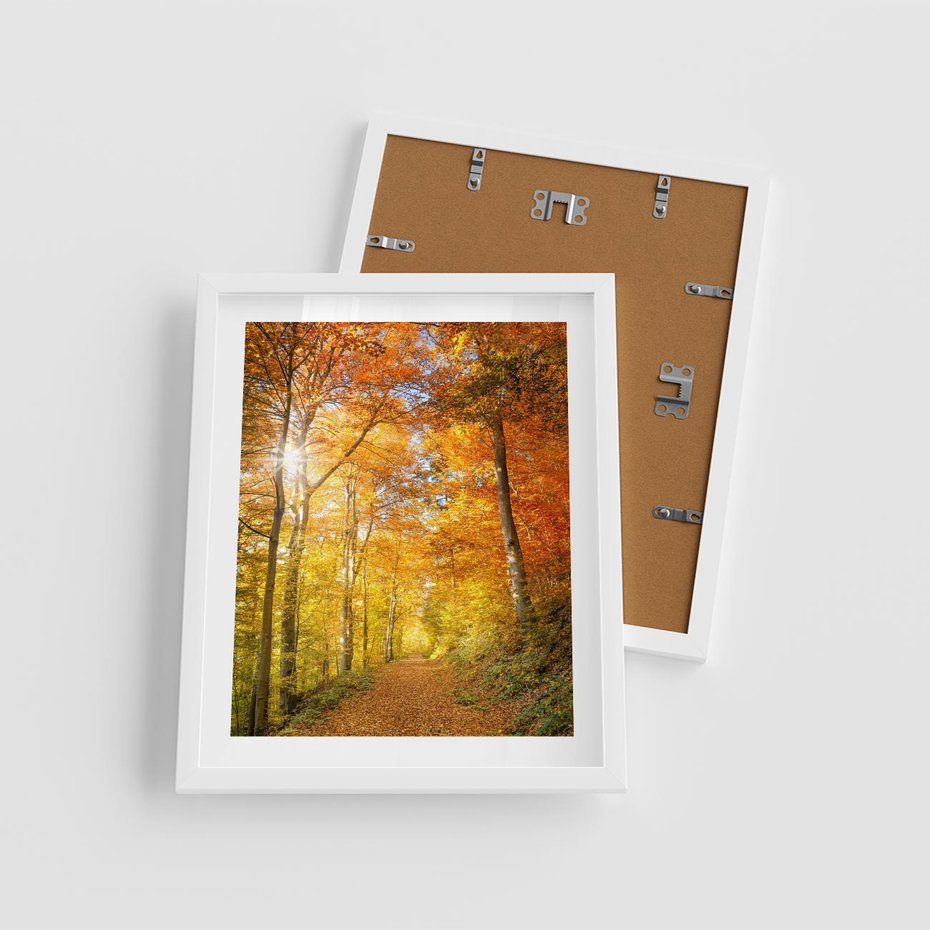 Plakat w ramie 40x50 - Złote barwy jesiennego lasu - las, jesień - rama biała