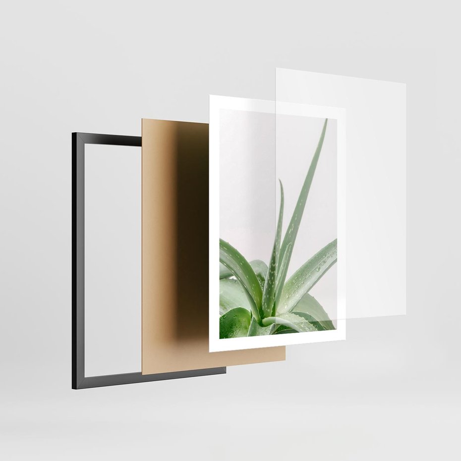 Plakat w ramie 50x70 - Zielone Piękno - aloes, liście - rama czarna