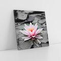 Obraz na płótnie 50x50 - Liliowy kwiat - lilia, kwiat