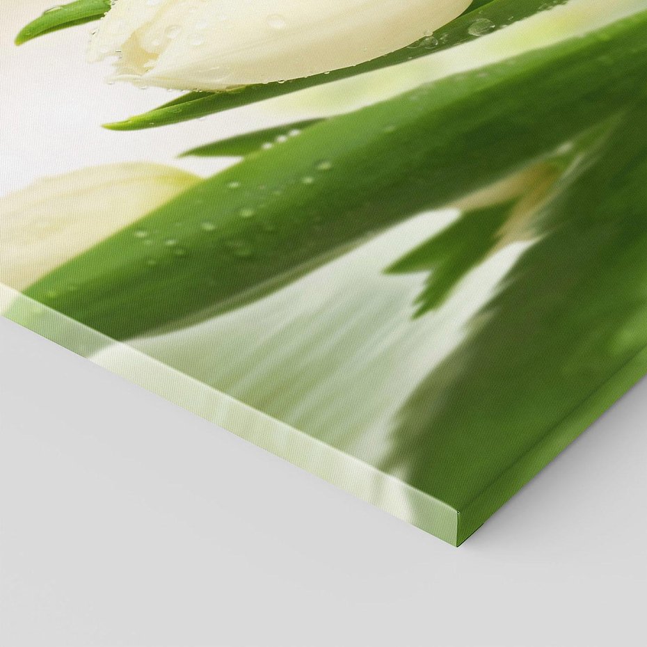 Obraz na płótnie 70x50 - Białe Piękno - białe, tulipany