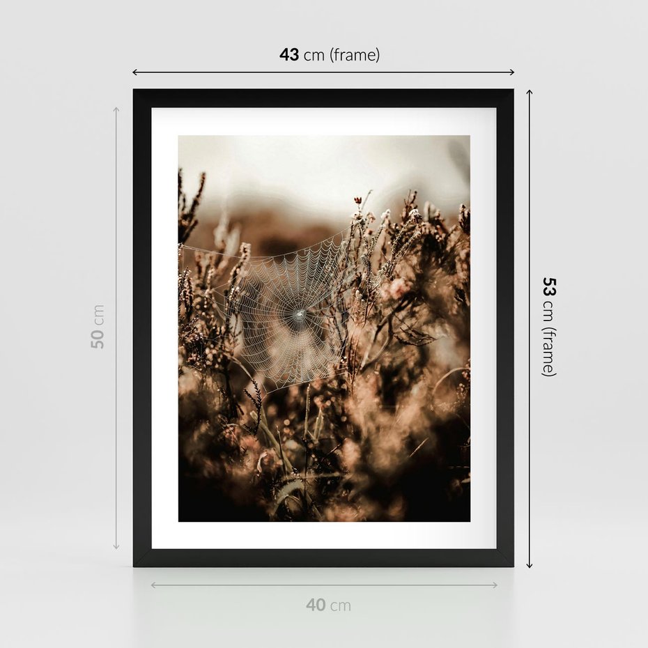 Plakat w ramie 40x50 - Jesienny Mikrokosmos - suchetrawy, jesienny klimat - rama czarna