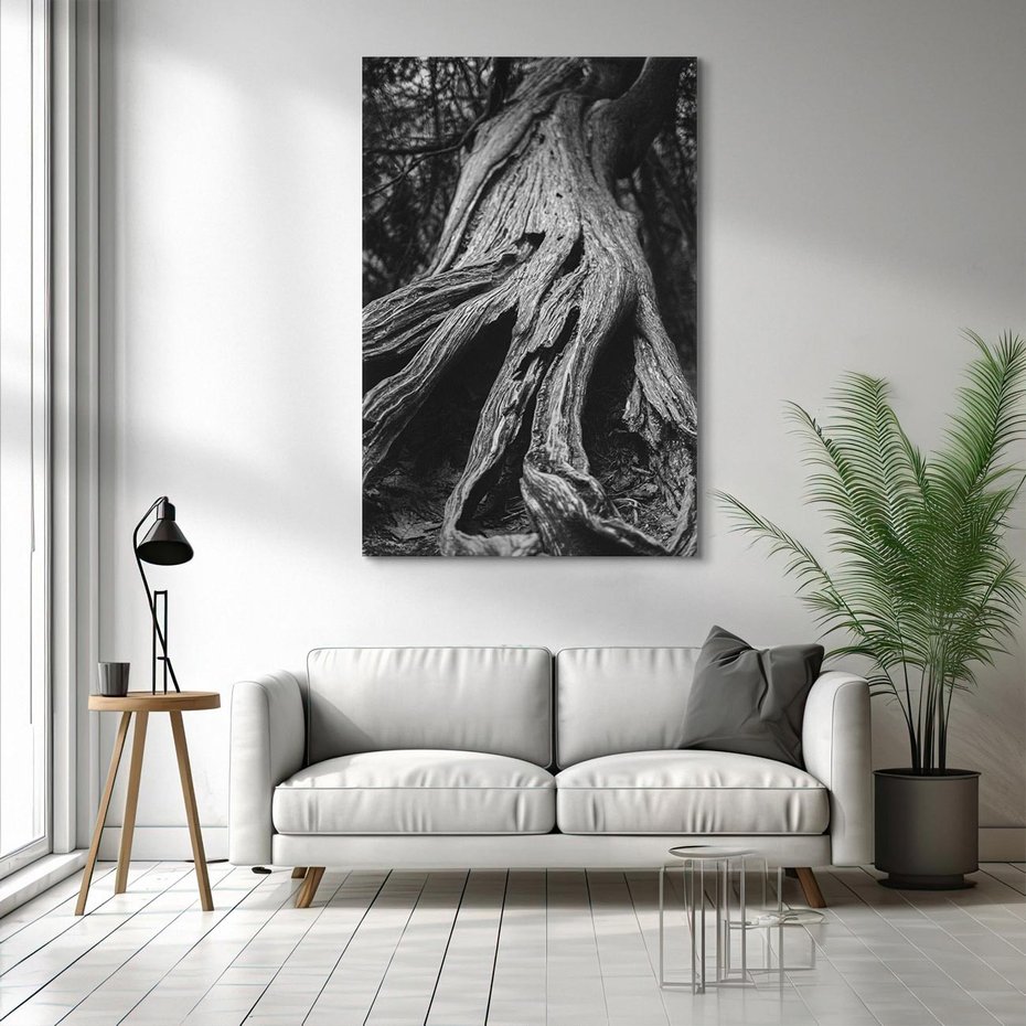 Obraz na płótnie 80x120 - Siła Natury - czarno biała fotografia, korzenie wielkiego drzewa