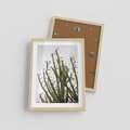 Plakat w ramie 30x40 - Ekskluzywna Roślinność - kaktusy, liście - rama drewno
