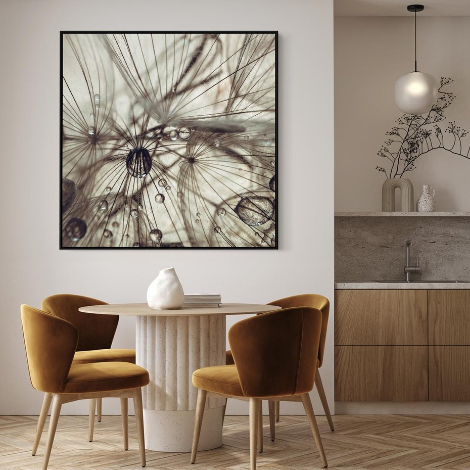 Obraz w ramie 50x50 - Lekkie dmuchawce - dmuchawce, krople - rama czarna