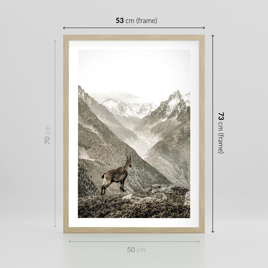 Plakat w ramie 50x70 - Dzikie Piękno: Kozica w Malowniczym Górskim Scenerii - kozica, góry - rama drewno