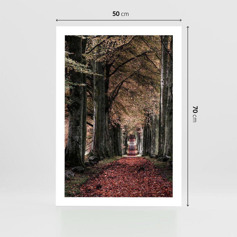 Plakat bez ramy 50x70 - Spacer po Leśnej Drodze - ścieżka w lesie, jesień suche liście