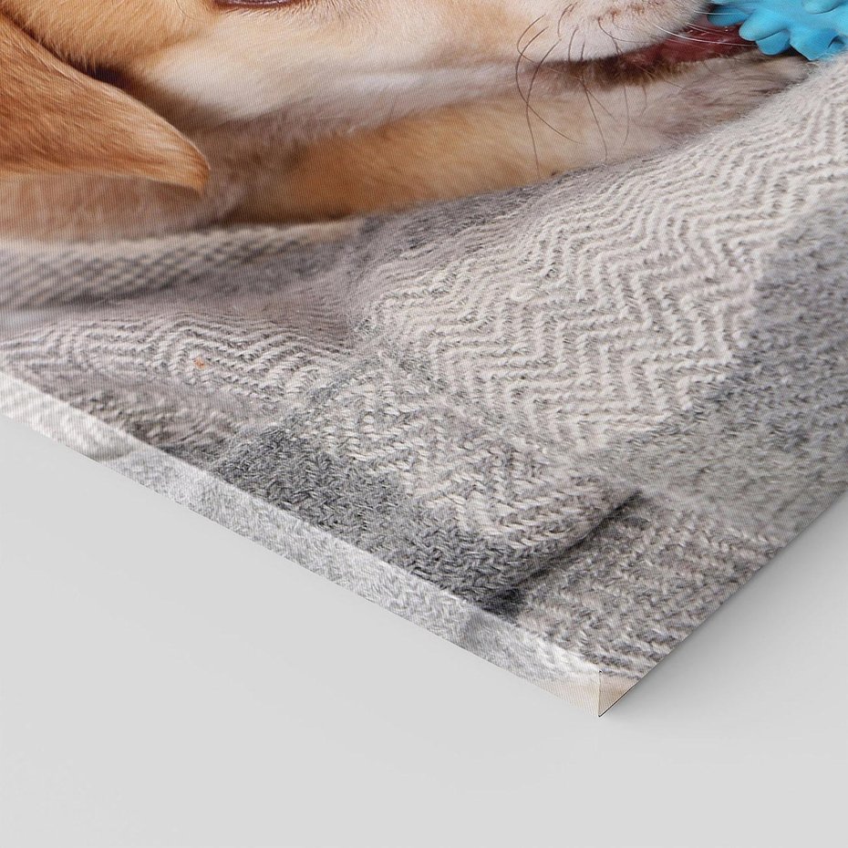 Obraz na płótnie 80x120 - Radość w zabawie: Piesek jako najlepszy przyjaciel - pies, piesek