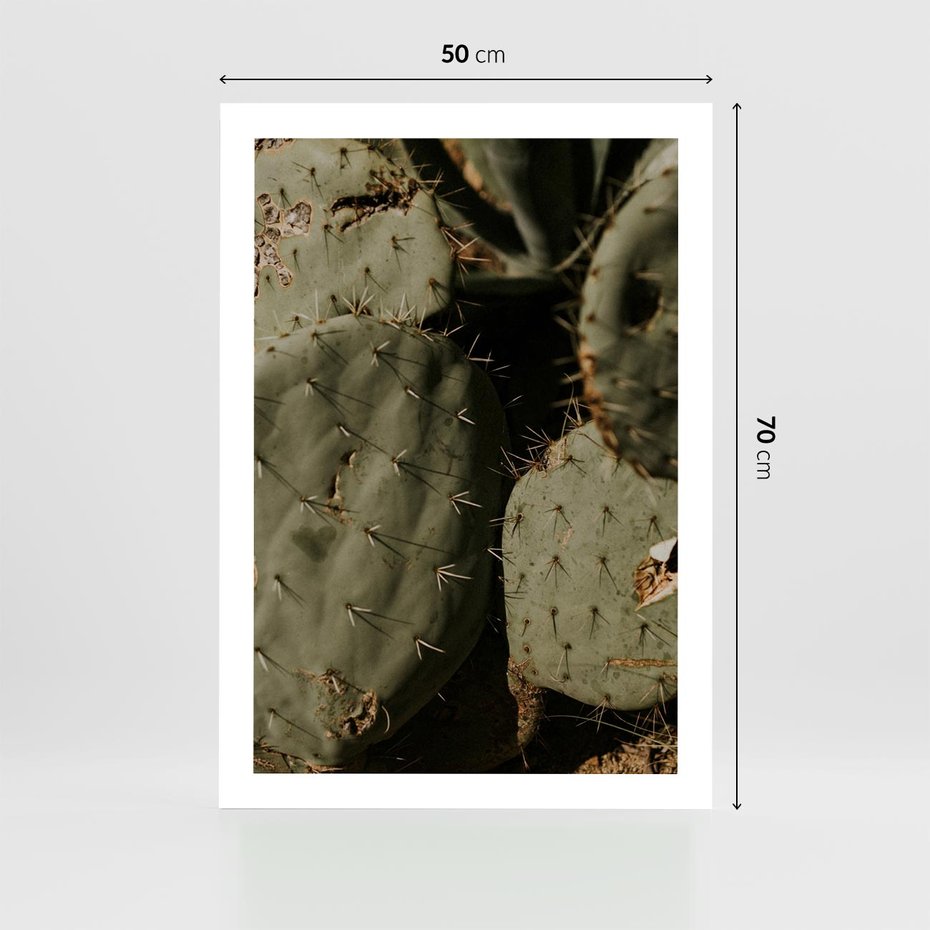 Plakat bez ramy 50x70 - Urok Egzotyki - kaktusy, boho