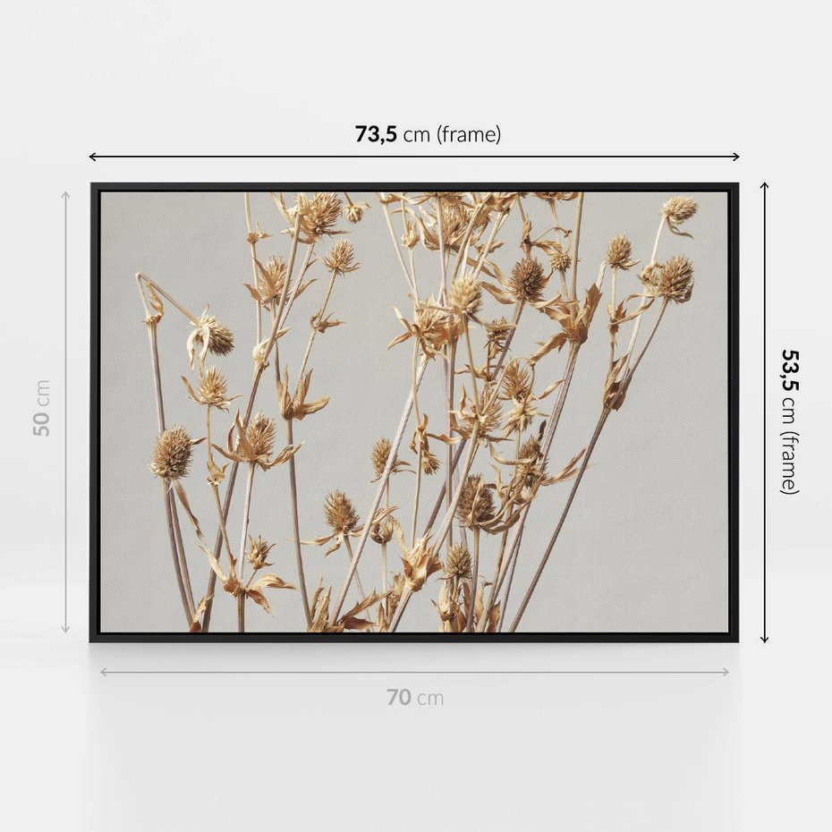 Obraz w ramie 70x50 - Delikatne gipsówki - gipsówka, suche - rama czarna