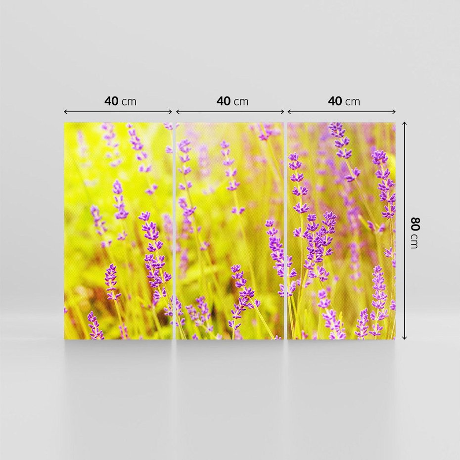 Obraz na płótnie 120x80 - Delikatność natury - lawenda, kwiaty