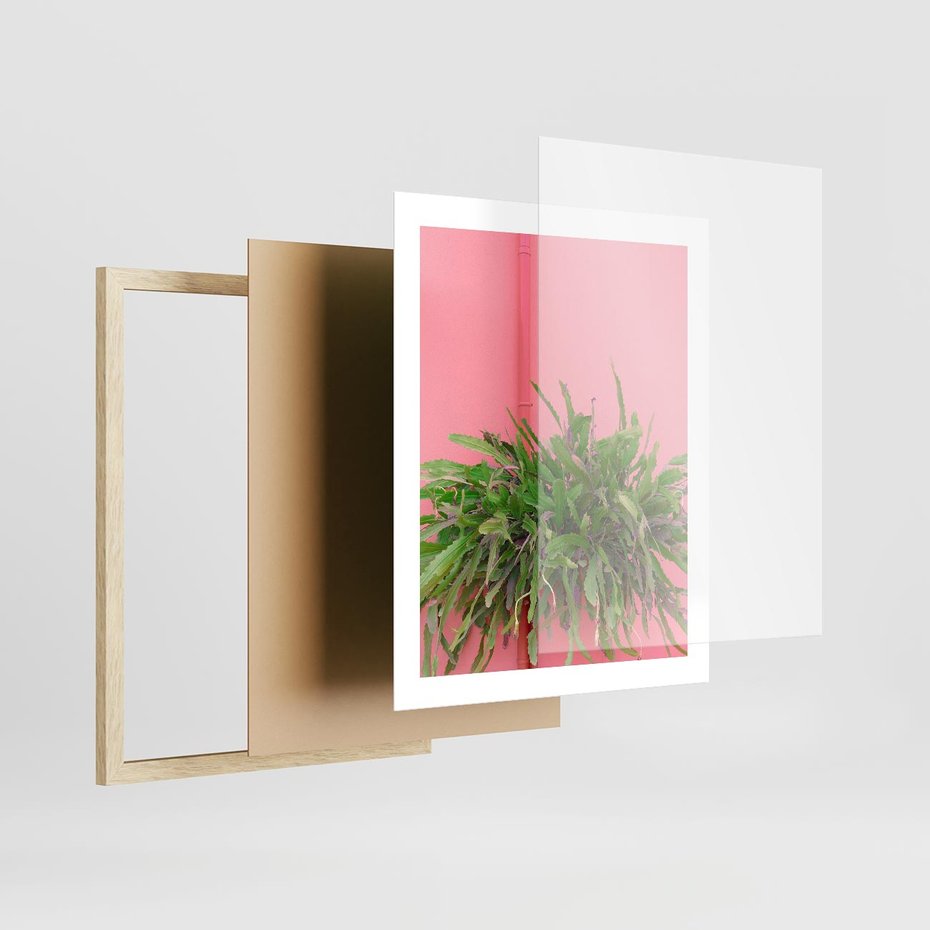 Plakat w ramie 40x50 - Fotografia Rośliny z Różowym Tłem - fotografia, zielona roślina na tle różwj ściany - rama drewno