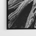 Obraz w ramie 50x50 - Siła Natury - czarno biała fotografia, korzenie wielkiego drzewa - rama czarna
