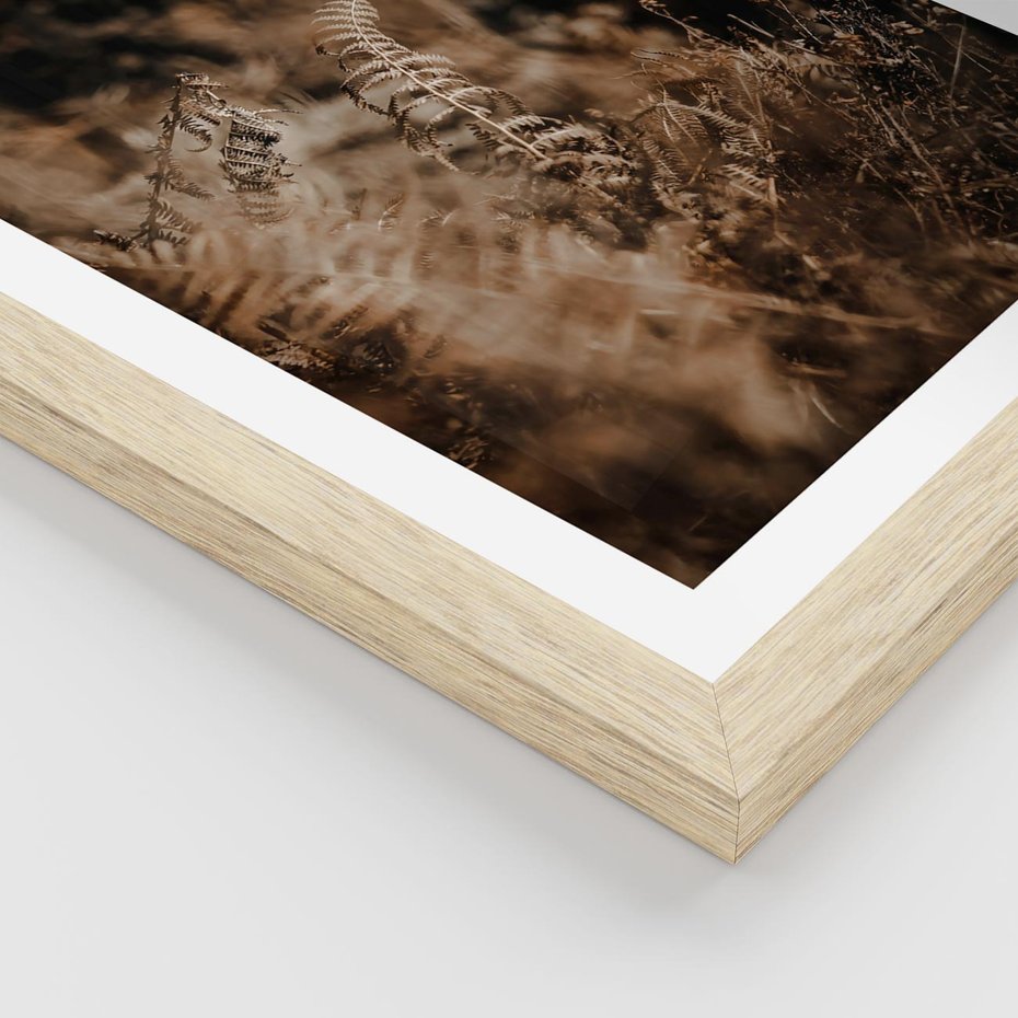 Plakat w ramie 30x40 - Delikatne Detale - paprocie, brąz - rama drewno