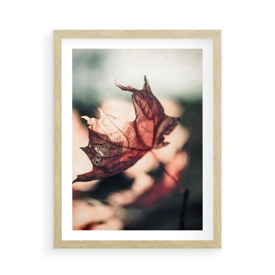 Plakat w ramie 50x70 - Liść w Jesieni - jesienny liść, czerwony - rama drewno