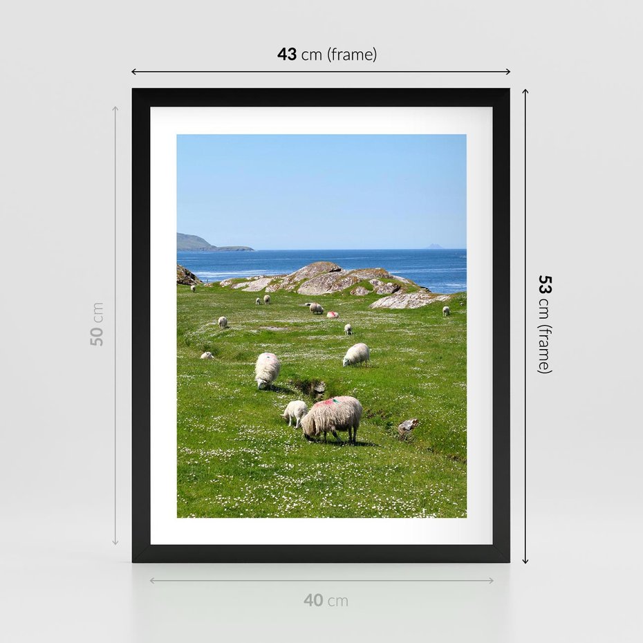 Plakat w ramie 40x50 - Górskie Owce - góry, owce - rama czarna