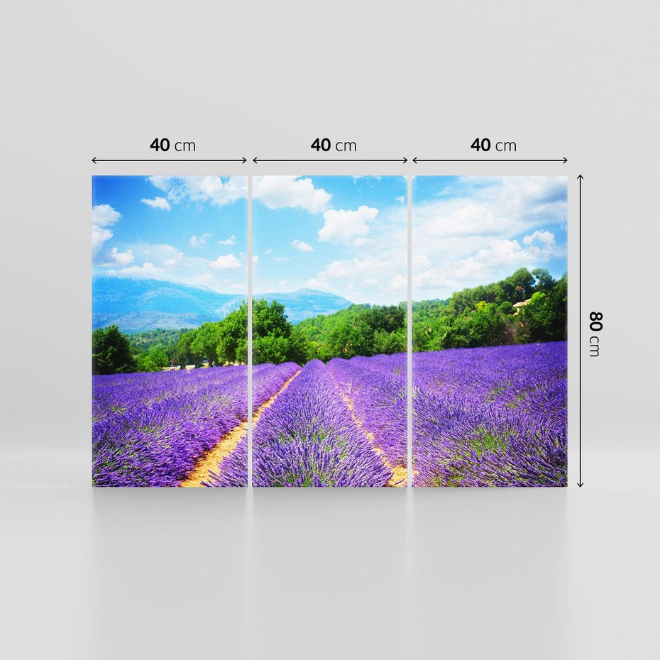 Obraz na płótnie 120x80 - Prowansalska Lawenda - lawenda, prowansja