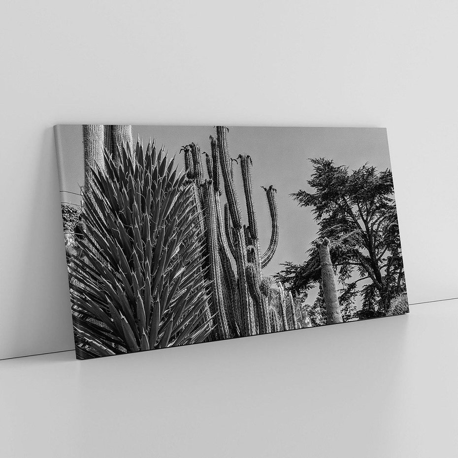 Obraz na płótnie 140x70 - Pustynny Klimat - czarno białe zdjecie, pustynia