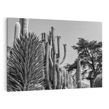 Obraz na płótnie 70x50 - Pustynny Klimat - czarno białe zdjecie, pustynia