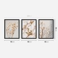 Zestaw obrazy w ramie 40x50 galeria - Suche, kwiaty, boho, trawy - rama czarna