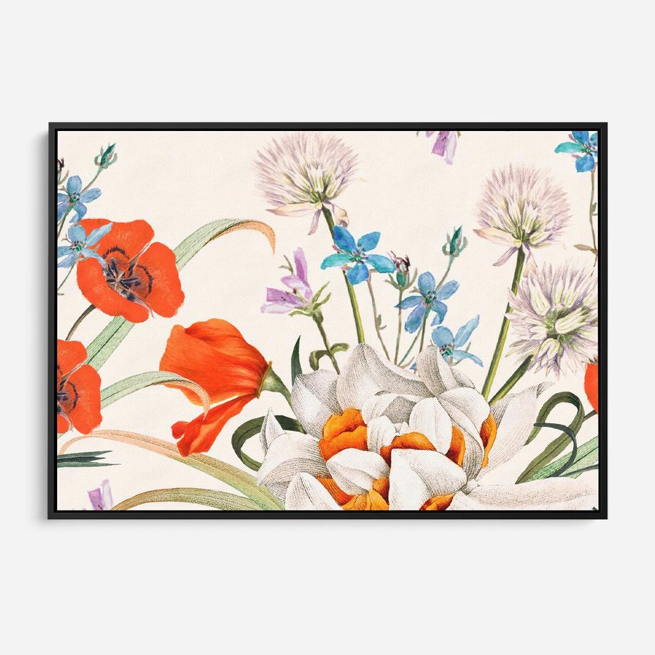 Obraz w ramie 100x70 - Polne Kwiaty - polne kwiaty, na białym tle - rama czarna