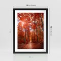 Plakat w ramie 30x40 - Magia jesiennego lasu - las, jesień - rama czarna