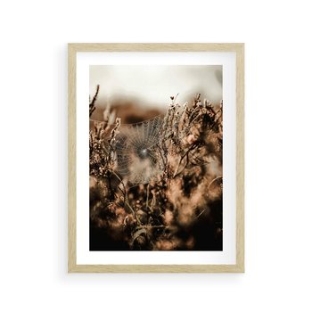 Plakat w ramie 30x40 - Jesienny Mikrokosmos - suchetrawy, jesienny klimat - rama drewno