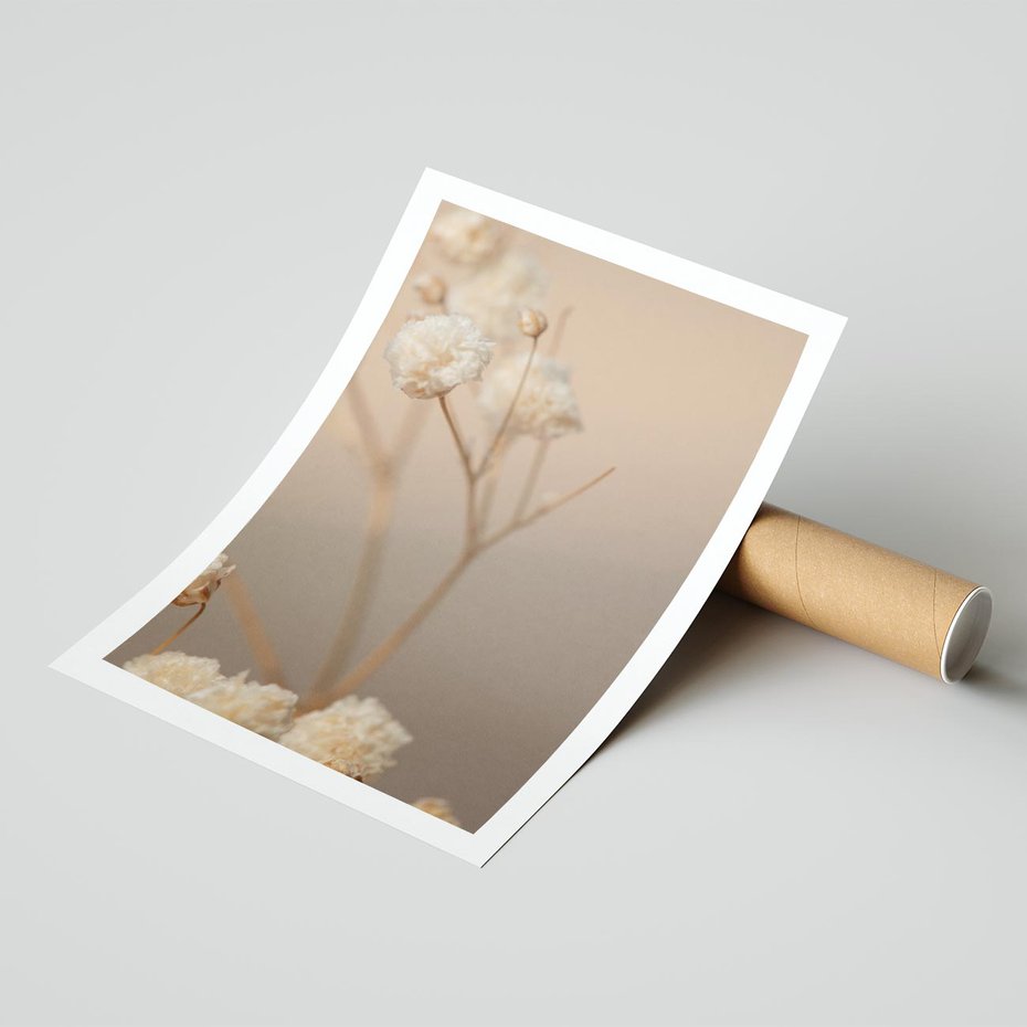 Plakat bez ramy 21x30 - Subtelna gipsówka - gipsówka, suche