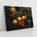 Obraz na płótnie 120x80 - Mandarynki na Drzewku - Owoce Pory Roku - mandarynki, drzewko
