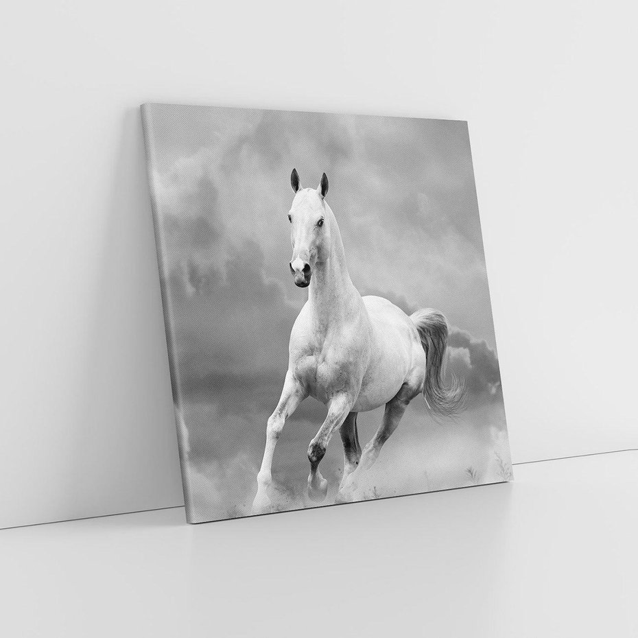 Obraz na płótnie 40x40 - Elegancja w Czarno-Białym - koń, biało