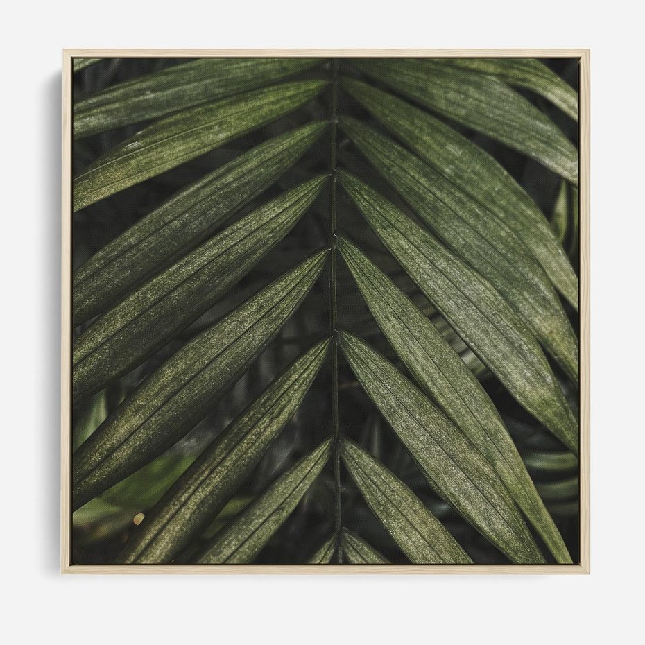 Obraz w ramie 50x50 - W Liściach Ukryte - zdjęcie, fotografia - rama drewno