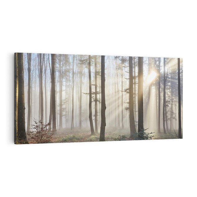 Obraz na płótnie 100x50 - Magiczne zaklęcie: Las pełen drzew - las, drzewa