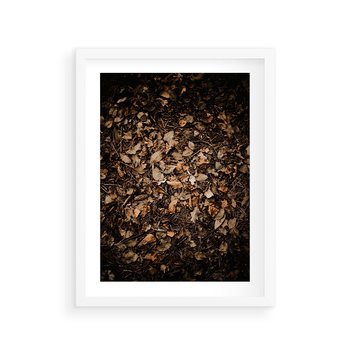 Plakat w ramie 30x40 - Brązowe Liście w Scenerii - suche liście jesień brąz - rama biała