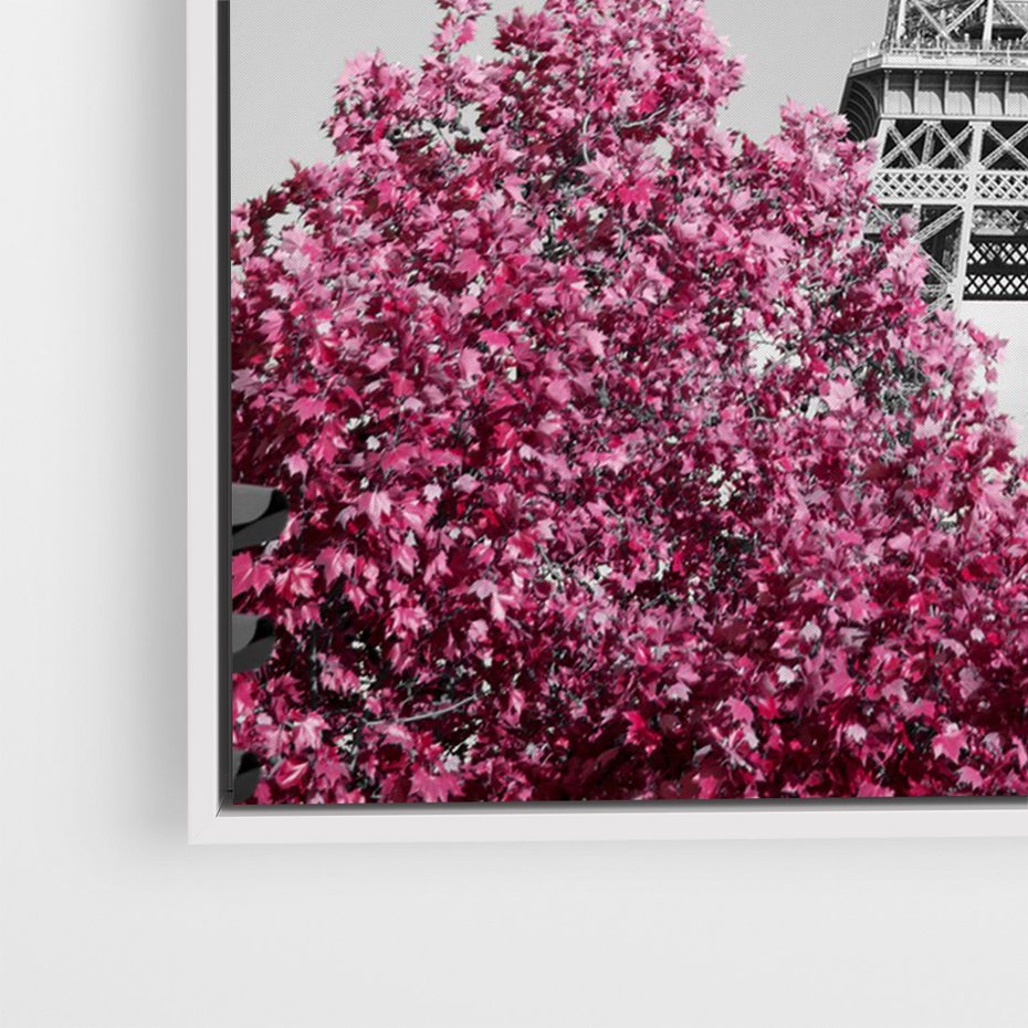 Obraz w ramie 50x70 - Różowy Paryż - czarno białe zdjęcie, wieża eiffla - rama biała