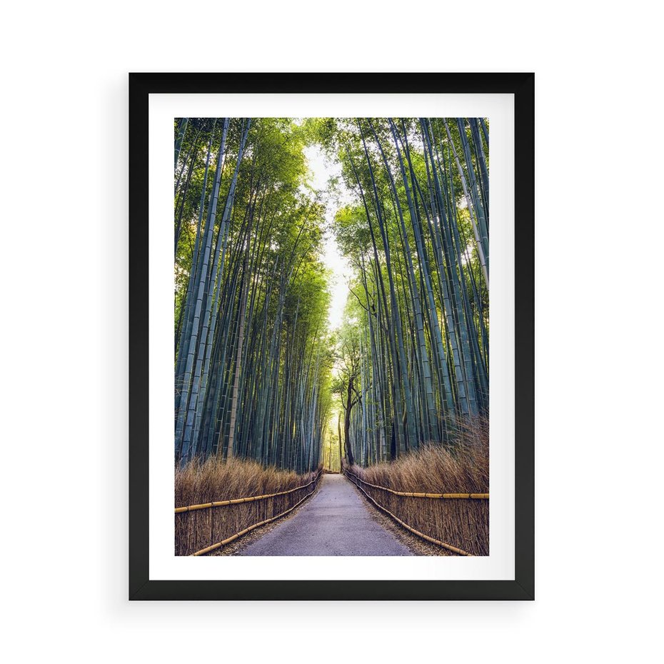 Plakat w ramie 50x70 - Urokliwa dróżka w lesie - las, dróżka - rama czarna