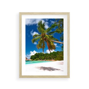 Plakat w ramie 50x70 - Oaza palm na plaży - palma, plaża - rama drewno