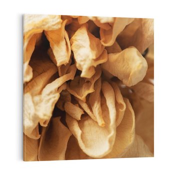 Obraz na płótnie 40x40 - Zjawiskowe zasuszone kwiaty - zasuszone, kwiaty