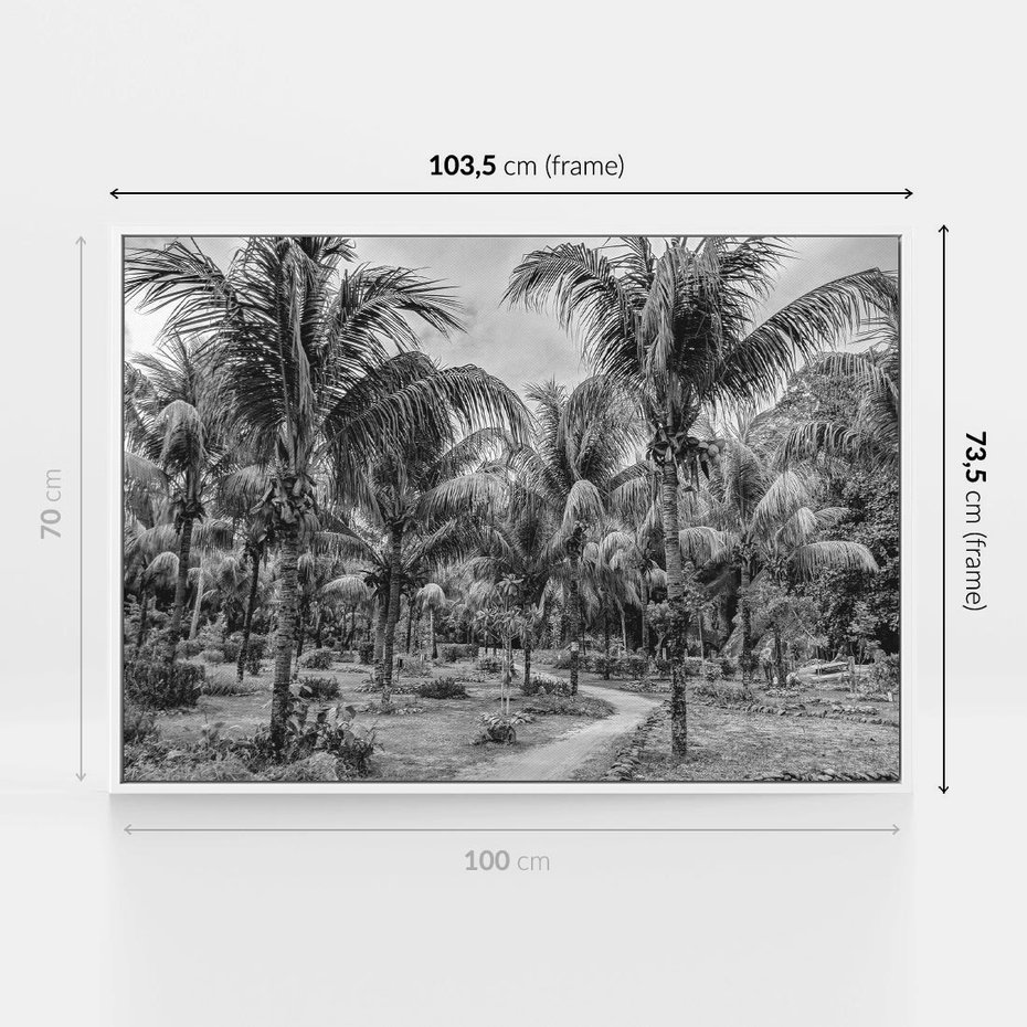Obraz w ramie 100x70 - Mroczna Ścieżka Tropików - czarno biała fotografia, ścieżka pośród palm - rama biała