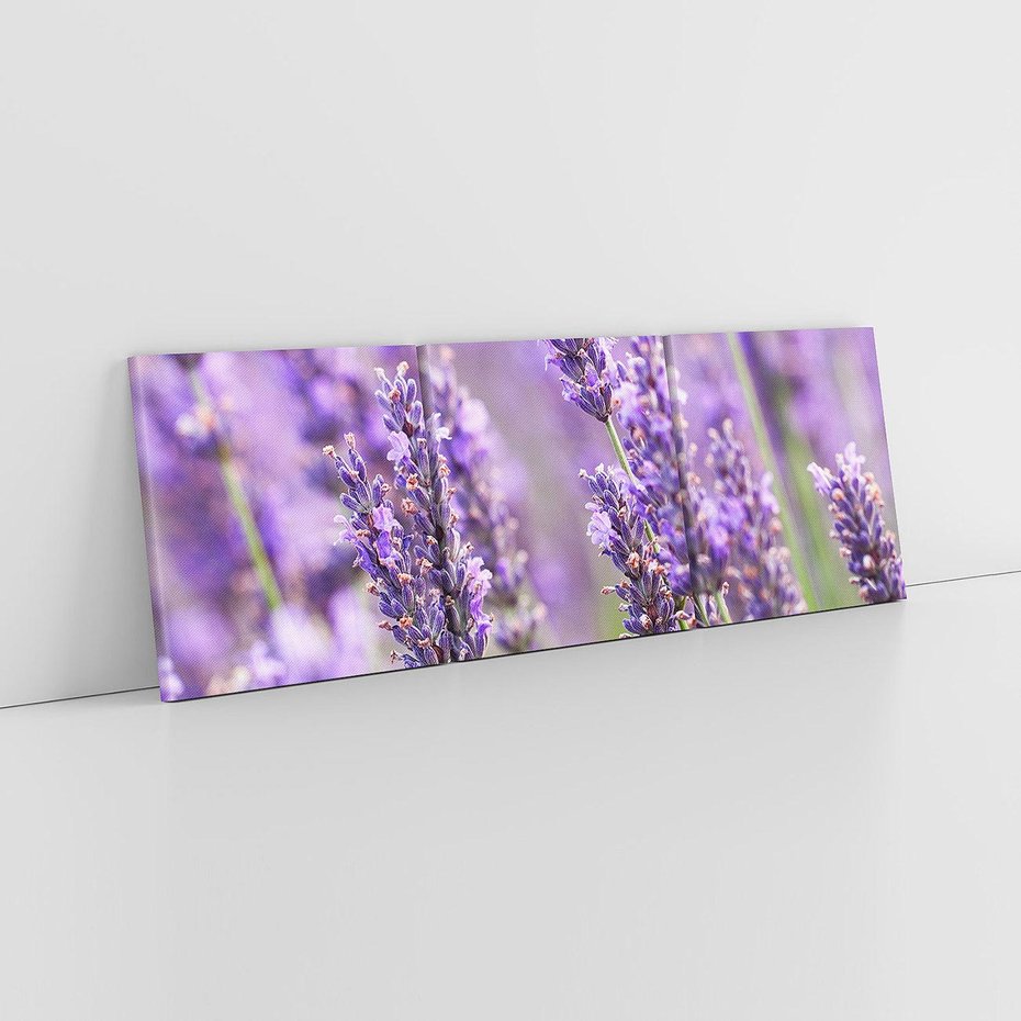 Obraz na płótnie 90x30 - Urok lawendy - lawenda, kwiaty