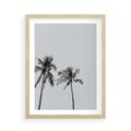 Plakat w ramie 50x70 - Tropikalny Raj: Palmy i Niebo - palmy, niebo - rama drewno