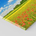 Obraz na płótnie 120x80 - Malownicze maki na łące - maki, łąka