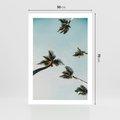Plakat bez ramy 50x70 - Palmy i Niebo - palmy, ujęcie z dołu