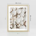 Plakat w ramie 40x50 - Białe Muszle - białe muszle, ujęcie z góry - rama drewno