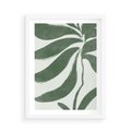 Plakat w ramie 50x70 - Zieleń Wewnętrznego Spokoju - zielony plakat, roślinne inspiracje - rama biała