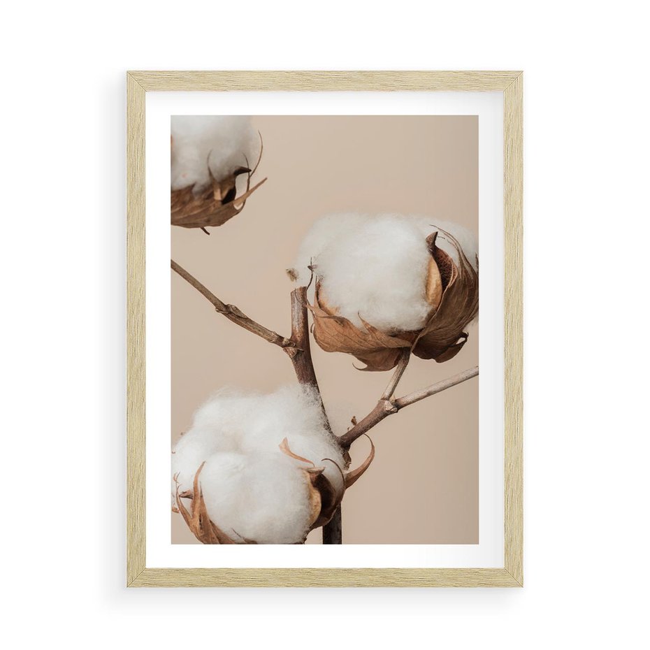 Plakat w ramie 50x70 - Bawełniana melancholia - bawełna, suche - rama drewno