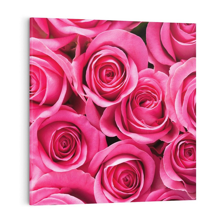Obraz na płótnie 70x70 - Romantyczne róże w pełnym rozkwicie - róże, kwiaty