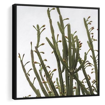 Obraz w ramie 50x50 - Ekskluzywna Roślinność - kaktusy, liście - rama czarna