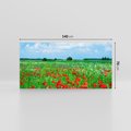 Obraz na płótnie 140x70 - Kolorowa łąka pełna maku - łąka, maki